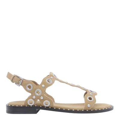 Ash Sandals In Beige