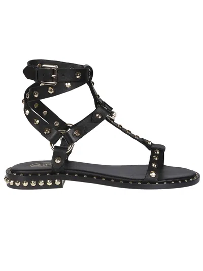 Ash Stud-embellished Leather Sandals In Black