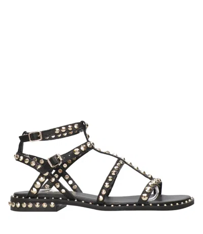 Ash Sandals Black+gold