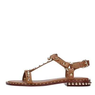Ash Sandals Brown In Marrone Marroni