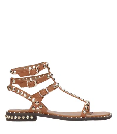 Ash Sandals Cinnamon In Brown