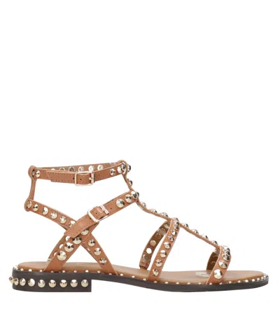 Ash Sandals Cinnamon In Brown