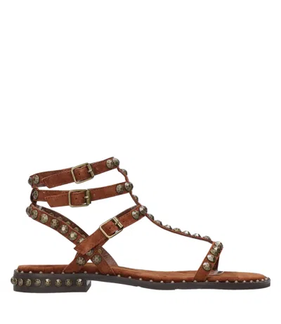 Ash Sandals Clay In Multi
