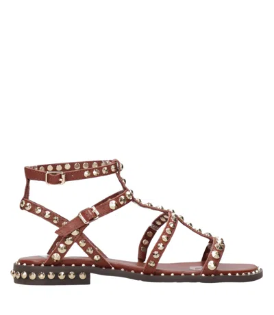Ash Sandals Marsala In Brown