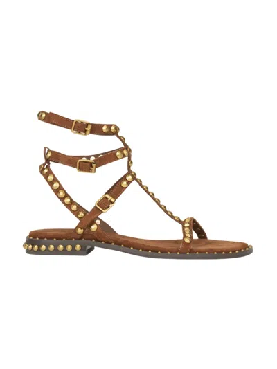 Ash Sandals Woman  - Combo:f Cachemere Tajine/brass - N.d. In Brown