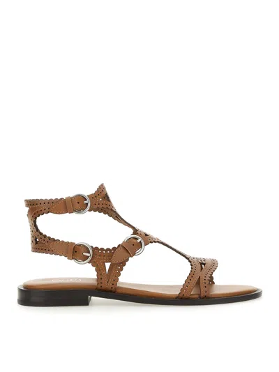 Ash Buff Calf Leather Sandals In Brown