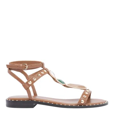 Ash Shoes In Brown