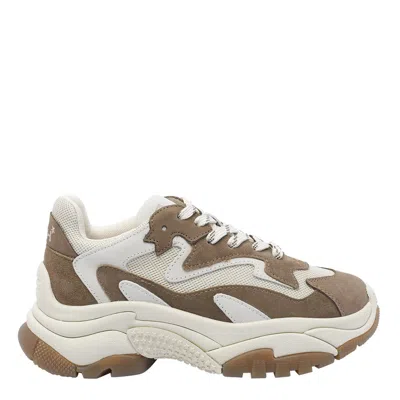 ASH ASH SNEAKERS