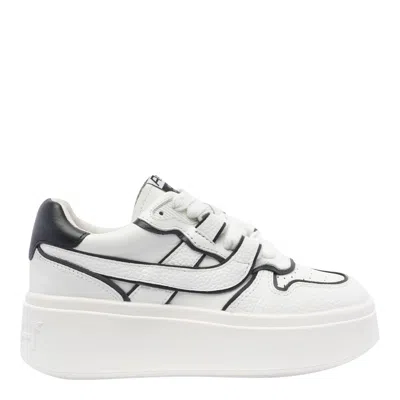 Ash Shoes In White