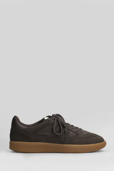 Ash Siena Sneakers In Brown Nubuck