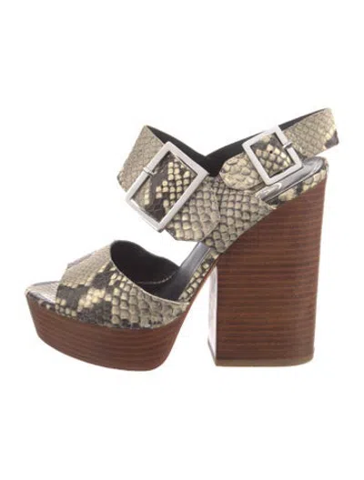 Pre-owned Ash Snakeskin Animal Print Pumps In Brown