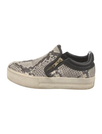 Pre-owned Ash Snakeskin Animal Print Sneakers In Gray