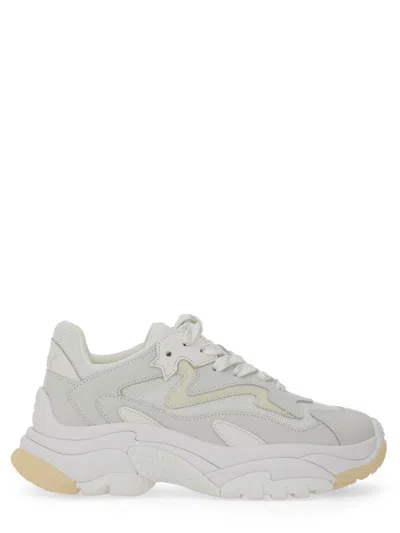 Ash Sneaker Addict In Grey