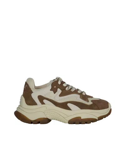 Ash Sneaker Addict Fandango/talc