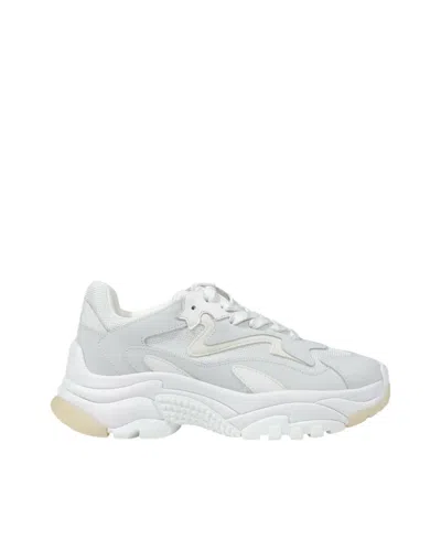ASH SNEAKER ADDICT WHITE