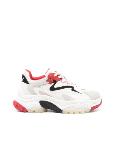 ASH SNEAKER ADDICT WHITE/RED/BLACK