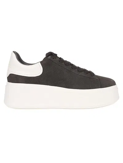 Ash Sneakers