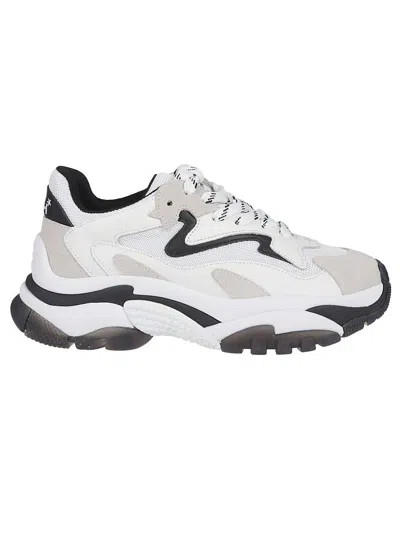 Ash Sneakers