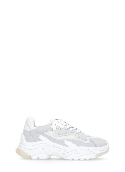 Ash Sneakers In White
