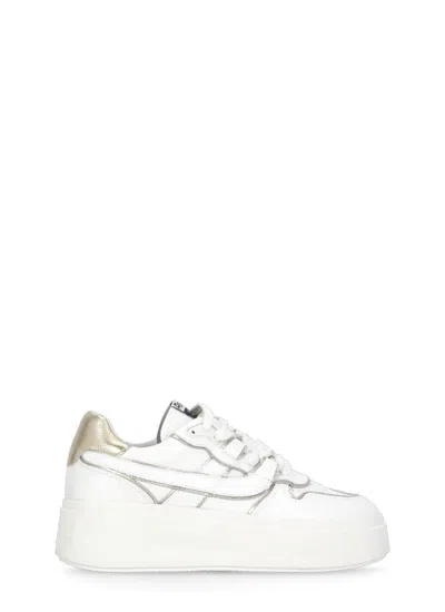 Ash Sneakers
