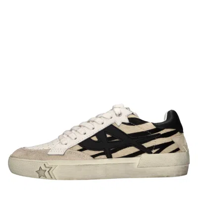 Ash Sneakers In Neutral