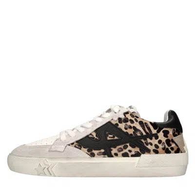 Ash Sneakers In Multi