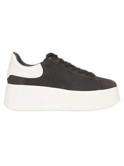 Ash Sneakers
