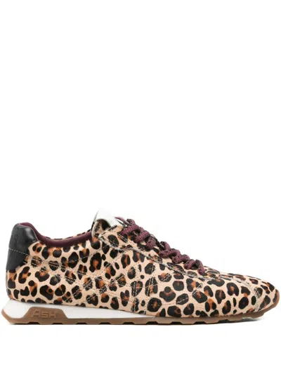 Ash Sneakers In Animal Print