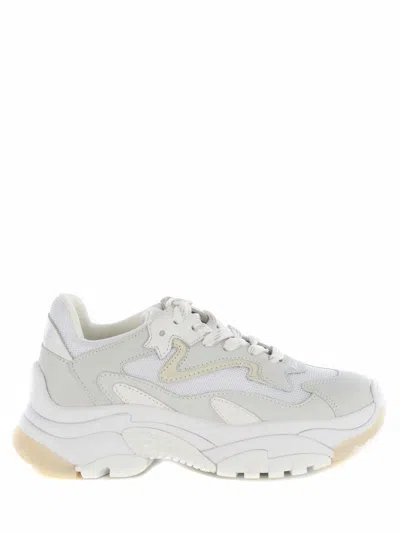 Ash Sneakers  Addict05 Made Of Leather In White