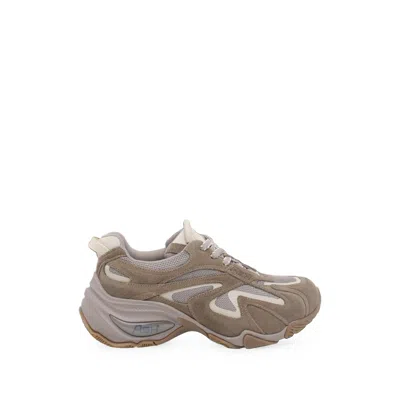 Ash Sneakers Beige In Brown