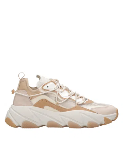 Ash Sneakers In White