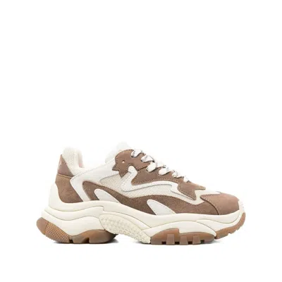 Ash Sneakers In Brown