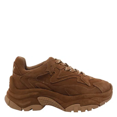 Ash Suede Sneakers With Chunky Sole And Round Toe In Brown