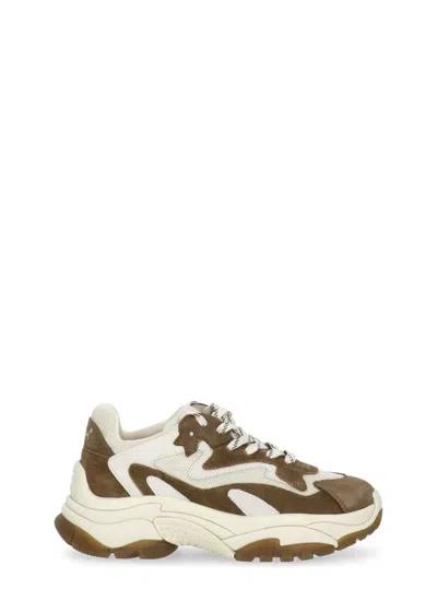 Ash Sneakers In Brown