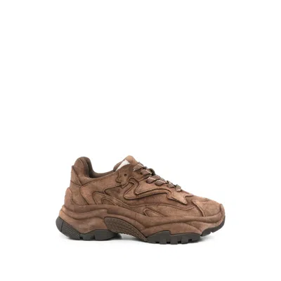 Ash Addict Bis Chunky-sole Sneakers In Brown