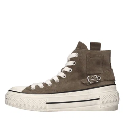 ASH ASH SNEAKERS BROWN