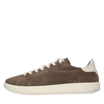 Ash Sneakers In Brown