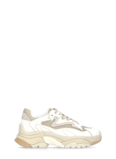 Ash Sneakers In Multicolor