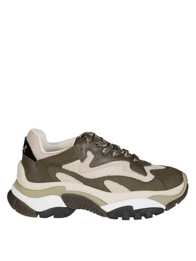 Ash Lace-up Platform Sole Sneakers In Multi