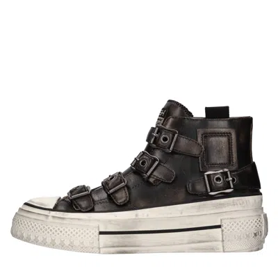 Ash Sneakers In Brown