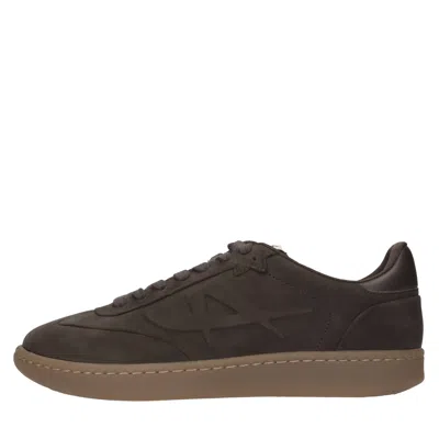 Ash Sneakers In Brown