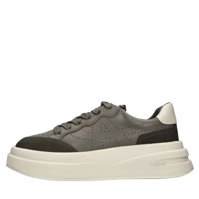 Ash Sneakers In Gray