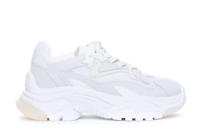 Ash Sneakers In White