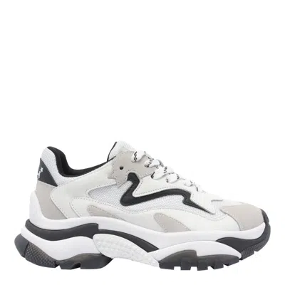 Ash Shoes In White