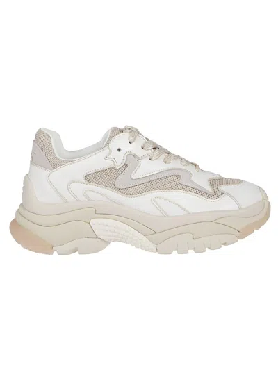 Ash Sneakers In White