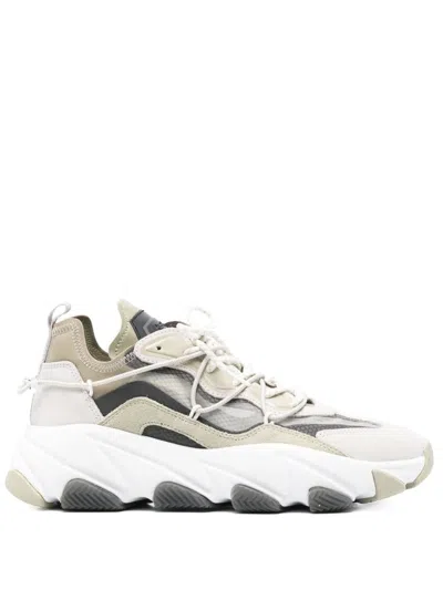 Ash Sneakers In White
