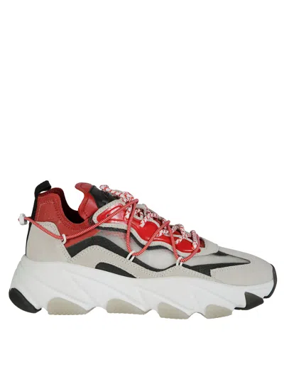 ASH ASH SNEAKERS