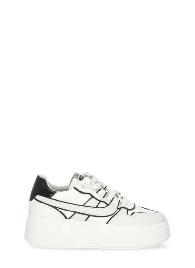 Ash Sneakers In White