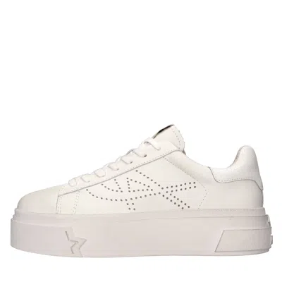 Ash Sneakers White In Bianco Chiari E Naturali