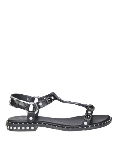 Ash Soft Mustang Sandals For Women In Black